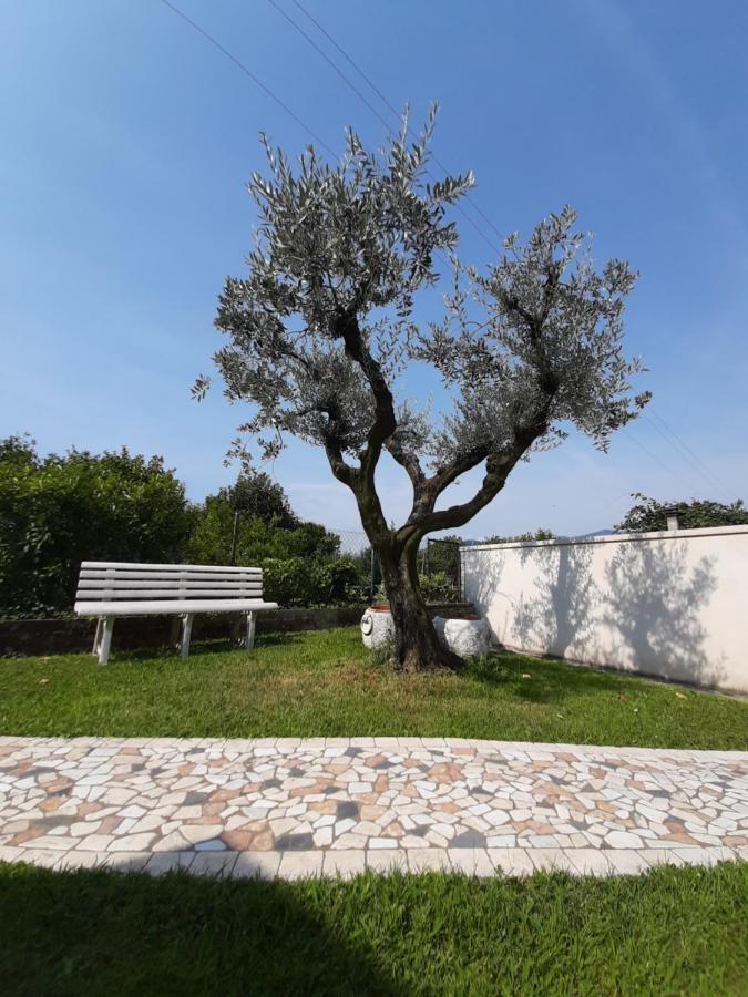 Affittacamere Da Lina Vittorio Veneto Exteriör bild